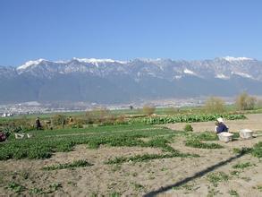 E-Commerce in China is supporting the rural economy !